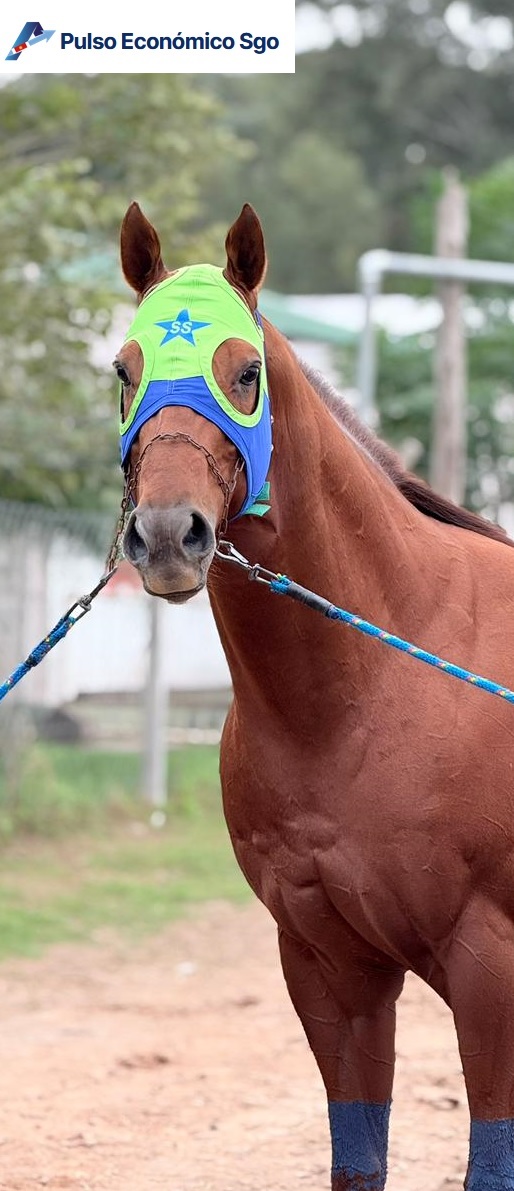 Napolitano Key en el H27